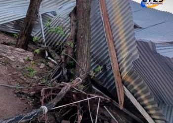 CÓRDOBA Consecuencias del temporal: daños en arboledas, techos y otras estructuras por el viento.