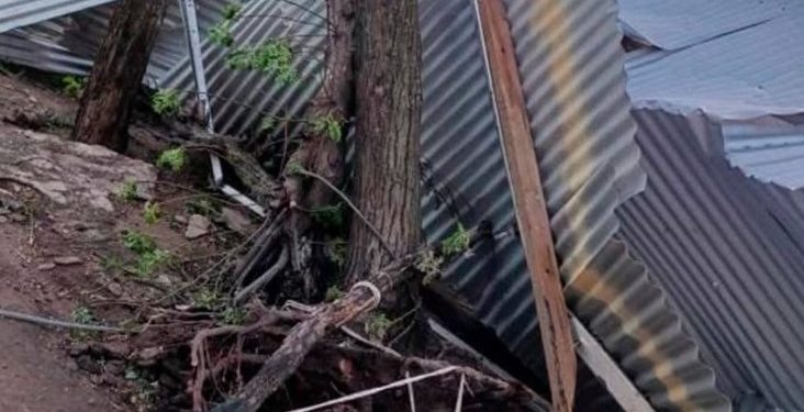 CÓRDOBA Consecuencias del temporal: daños en arboledas, techos y otras estructuras por el viento.