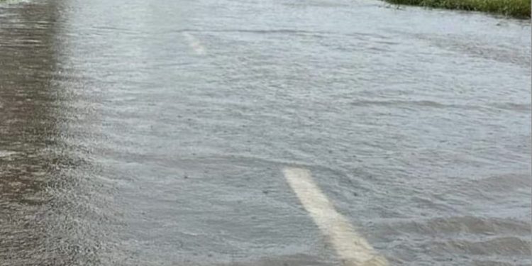 Corte total preventivo en el cruce RN 34 y RP 91