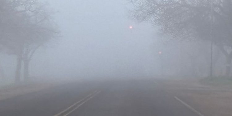 Las rutas de las regiones Centro y Sur se presentan con bancos de niebla y neblina que disminuyen la visibilidad.