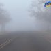 Las rutas de las regiones Centro y Sur se presentan con bancos de niebla y neblina que disminuyen la visibilidad.