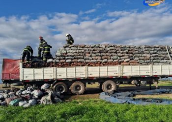 Centeno: LLEVABA CARBÓN Y LEÑA Y SE PRENDIÓ FUEGO