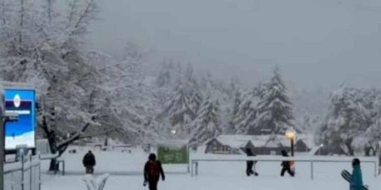 Nevada intensa paralizó Bariloche: alerta naranja, clases suspendidas y precaución extrema en rutas