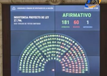 Contundente rechazo a los vetos de Milei: Diputados ratificó el financiamiento del Garrahan y las universidades
