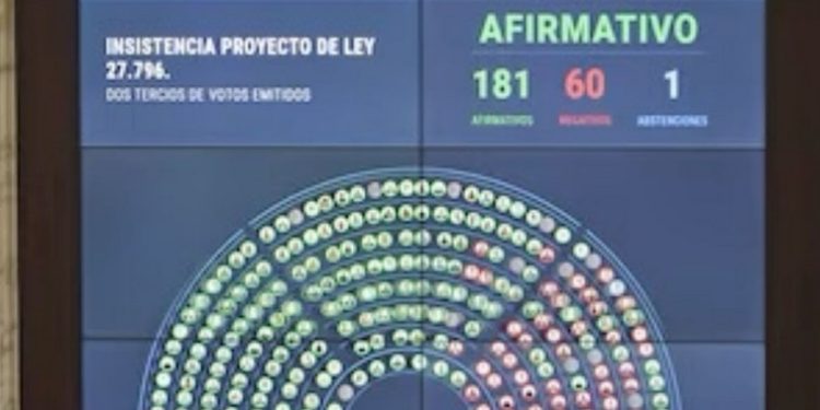 Contundente rechazo a los vetos de Milei: Diputados ratificó el financiamiento del Garrahan y las universidades