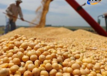 Fin de la quita de retenciones: las exportaciones del agro ya alcanzaron el cupo de u$s7.000 millones