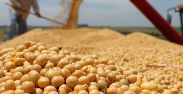 Fin de la quita de retenciones: las exportaciones del agro ya alcanzaron el cupo de u$s7.000 millones