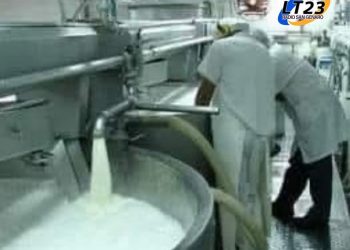 DIA DEL TRABAJADOR LACTEO