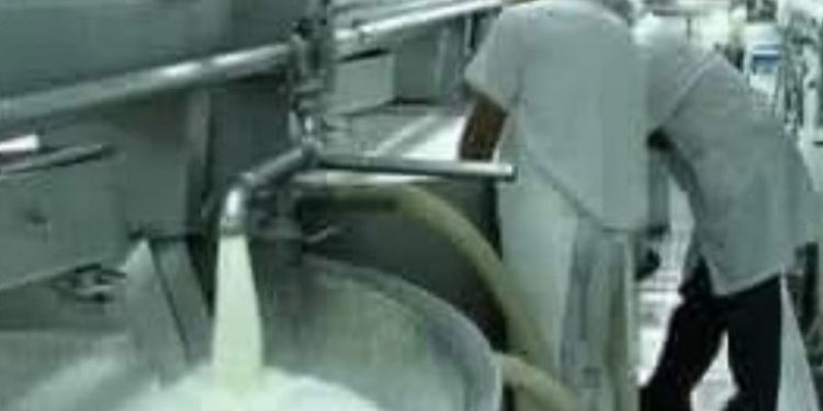 DIA DEL TRABAJADOR LACTEO