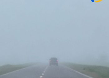 Alerta vial por niebla. Visibilidad muy reducida en rutas de la provincia.
