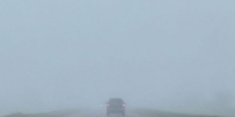 Alerta vial por niebla. Visibilidad muy reducida en rutas de la provincia.