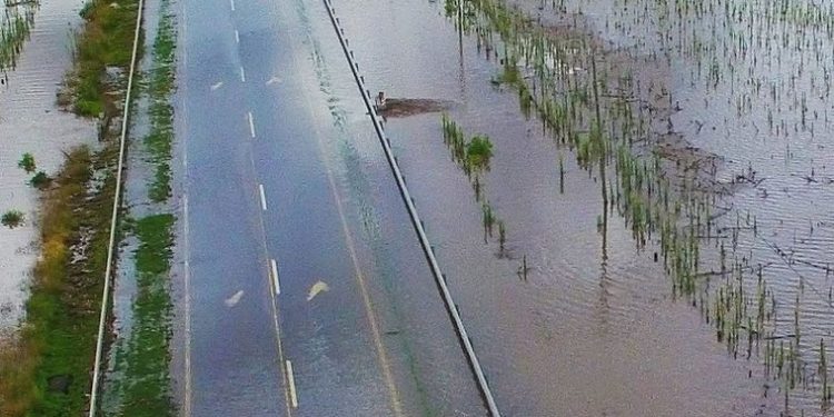 CORTE DE RUTA 33 CASILDA ZAVALLA