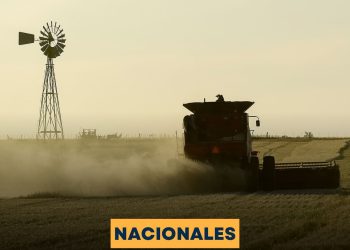  EL CAMPO APORTÓ US$ 7.107 MILLONES EN SEPTIEMBRE