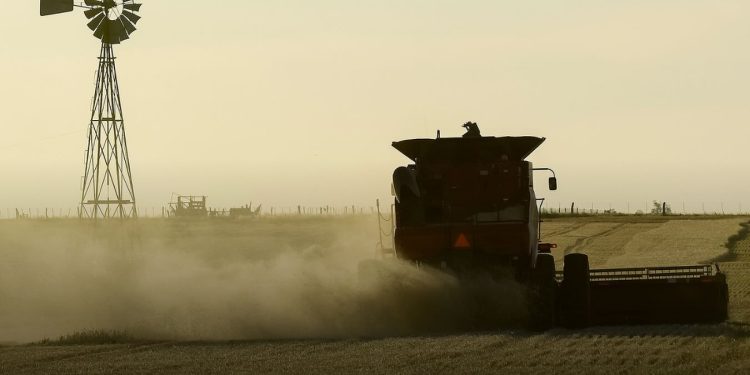  EL CAMPO APORTÓ US$ 7.107 MILLONES EN SEPTIEMBRE