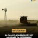  EL CAMPO APORTÓ US$ 7.107 MILLONES EN SEPTIEMBRE