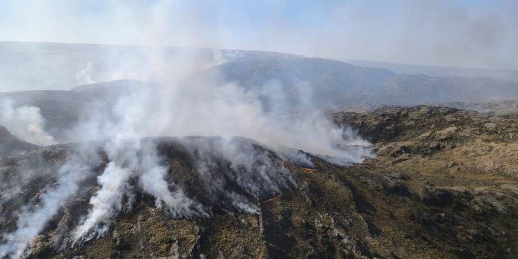 Córdoba. El fuego no da tregua en la Quebrada del Condorito: ya quemó 6 mil hectáreas