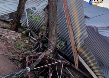 CÓRDOBA Consecuencias del temporal: daños en arboledas, techos y otras estructuras por el viento.