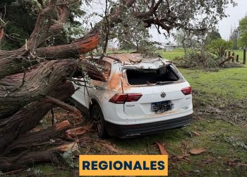 Madrugada de Tarea Intensa para Bomberos en Las Parejas: Techos Volados, 5 Árboles Caídos y Daños Mayores en Red Eléctrica