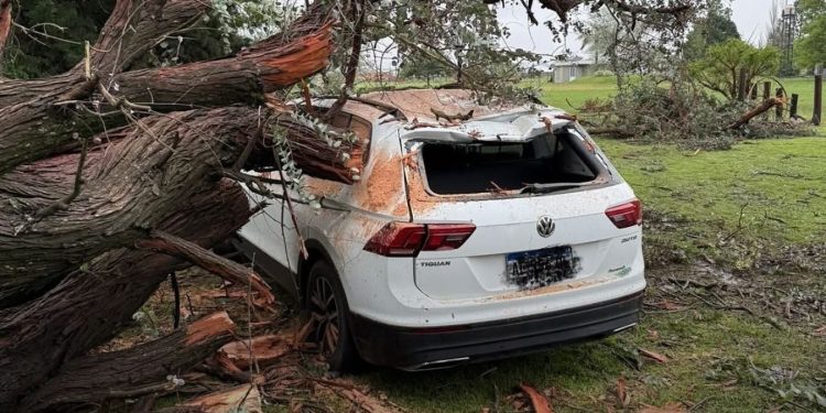 Madrugada de Tarea Intensa para Bomberos en Las Parejas: Techos Volados, 5 Árboles Caídos y Daños Mayores en Red Eléctrica