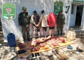 TRES DETENIDOS POR ABIGEATO EN ZONA DE ISLAS