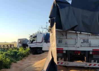Un camión perdió el control y terminó impactando contra un árbol en la banquina en Ruta 11, a la altura de Monje