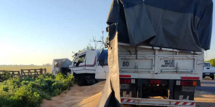 Un camión perdió el control y terminó impactando contra un árbol en la banquina en Ruta 11, a la altura de Monje