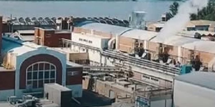 NUEVOS DUEÑOS EN CELULOSA: los nuevos compradores visitaron la fábrica de Bermúdez. Pagarían los salarios atrasados.