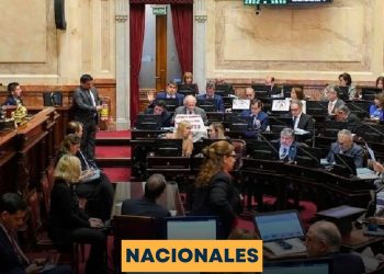 El Senado rechazó los vetos de Milei a la Emergencia Pediátrica  y Financiamiento Universitario