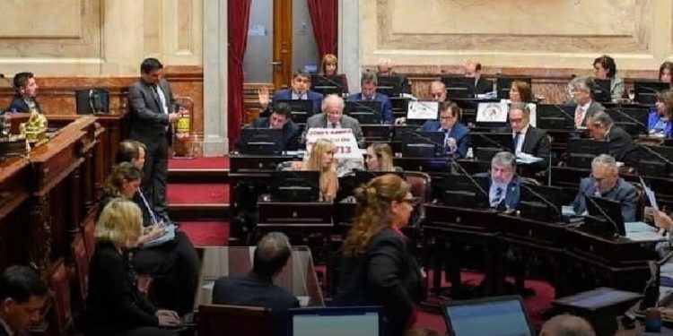 El Senado rechazó los vetos de Milei a la Emergencia Pediátrica y Financiamiento Universitario