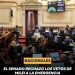 El Senado rechazó los vetos de Milei a la Emergencia Pediátrica y Financiamiento Universitario