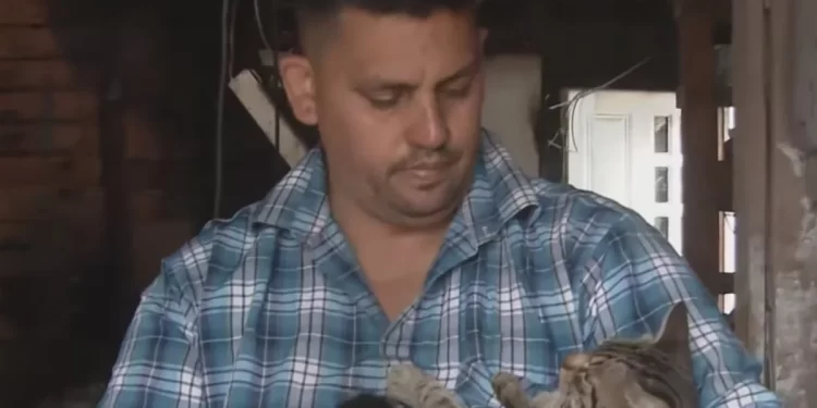 INCENDIO Y MILAGRO EN ROSARIO: SE SALVÓ PORQUE SU GATO LO DESPERTO CON UNA MORDIDA