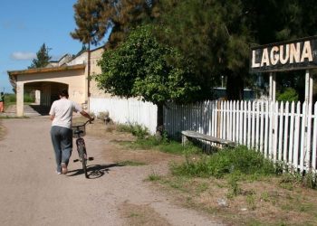 Horror y locura en Laguna Paiva: ahorcó a su perro pitbull y lo enterró en un patio; fue detenido