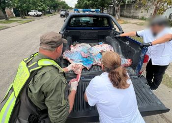 Los Pumas secuestraron más de 300 kilos de carne en Reconquista