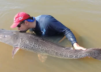 Santa Fe establece la veda para la pesca de surubí