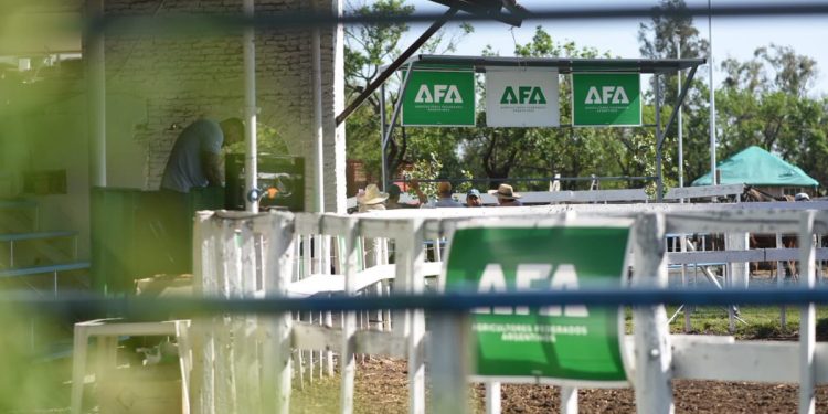 TOTORAS: REMATE ANIVERSARIO AFA