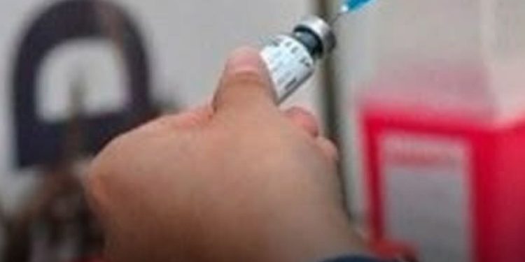 RÉCORD EN SANTA FE: CASOS DE DENGUE BAJARON UN 84% 