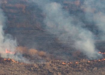 Siguen los incendios en Salta: más de 2000 hectáreas afectadas