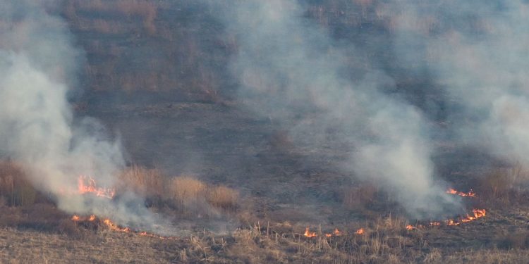 Siguen los incendios en Salta: más de 2000 hectáreas afectadas