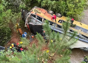 Tragedia en Misiones: un colectivo embistió a un auto, cayó a un arroyo y dejó al menos 2 muertos y 25 heridos