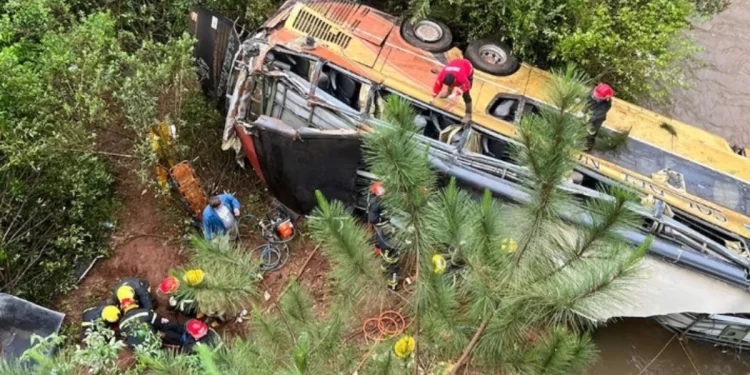 Tragedia en Misiones: un colectivo embistió a un auto, cayó a un arroyo y dejó al menos 2 muertos y 25 heridos