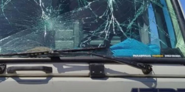 VENADO TUERTO: ESCANDALOSA PELEA ENTRE DOS CAMIONEROS EN RUTA 8