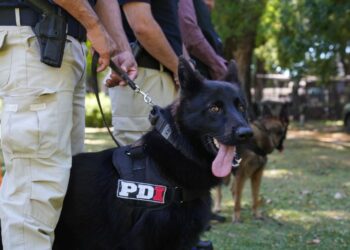 Bono y Black los mejores antinarcoticos de Argentina