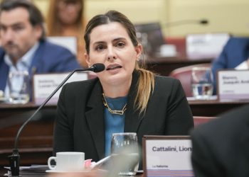 CATTALINI PIDIÓ CELERIDAD AL CONSEJO DE LA MAGISTRATURA EN EL CASO DEL JUEZ SALMAIN