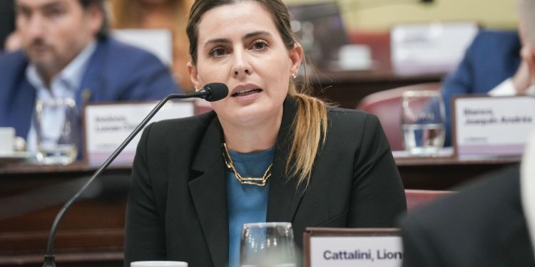 CATTALINI PIDIÓ CELERIDAD AL CONSEJO DE LA MAGISTRATURA EN EL CASO DEL JUEZ SALMAIN