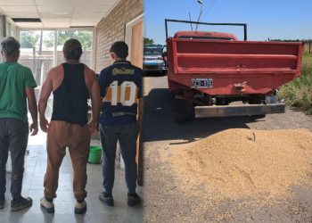 RECOLECTABAN CEREAL EN LA RUTA 11 Y FUERON APREHENDIDOS EN PUERTO SAN MARTIN
