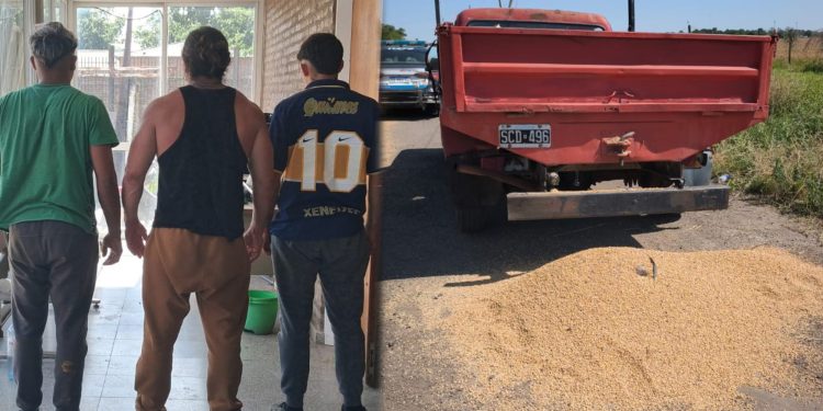 RECOLECTABAN CEREAL EN LA RUTA 11 Y FUERON APREHENDIDOS EN PUERTO SAN MARTIN