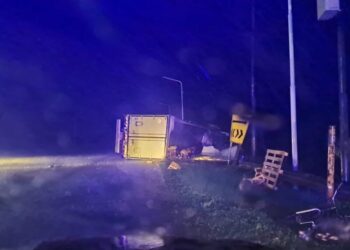 Laguna Paiva: volcó un camión y la gente se llevó los pollos que transportaba