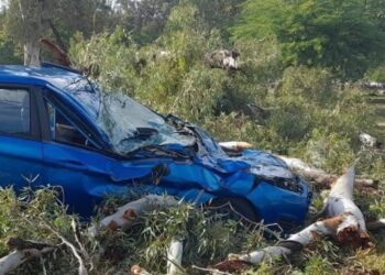 Así amaneció Santiago del Estero tras el temporal.