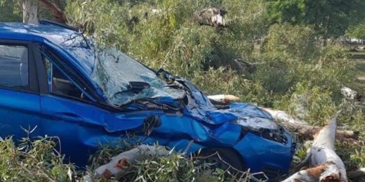 Así amaneció Santiago del Estero tras el temporal.