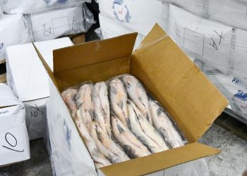 Para evitar el colapso ecológico, Provincia suspenderá por un año el acopio de pescado para exportación